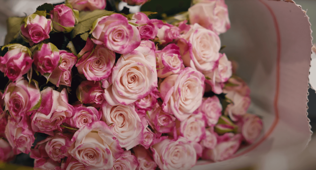 Кустовая роза 