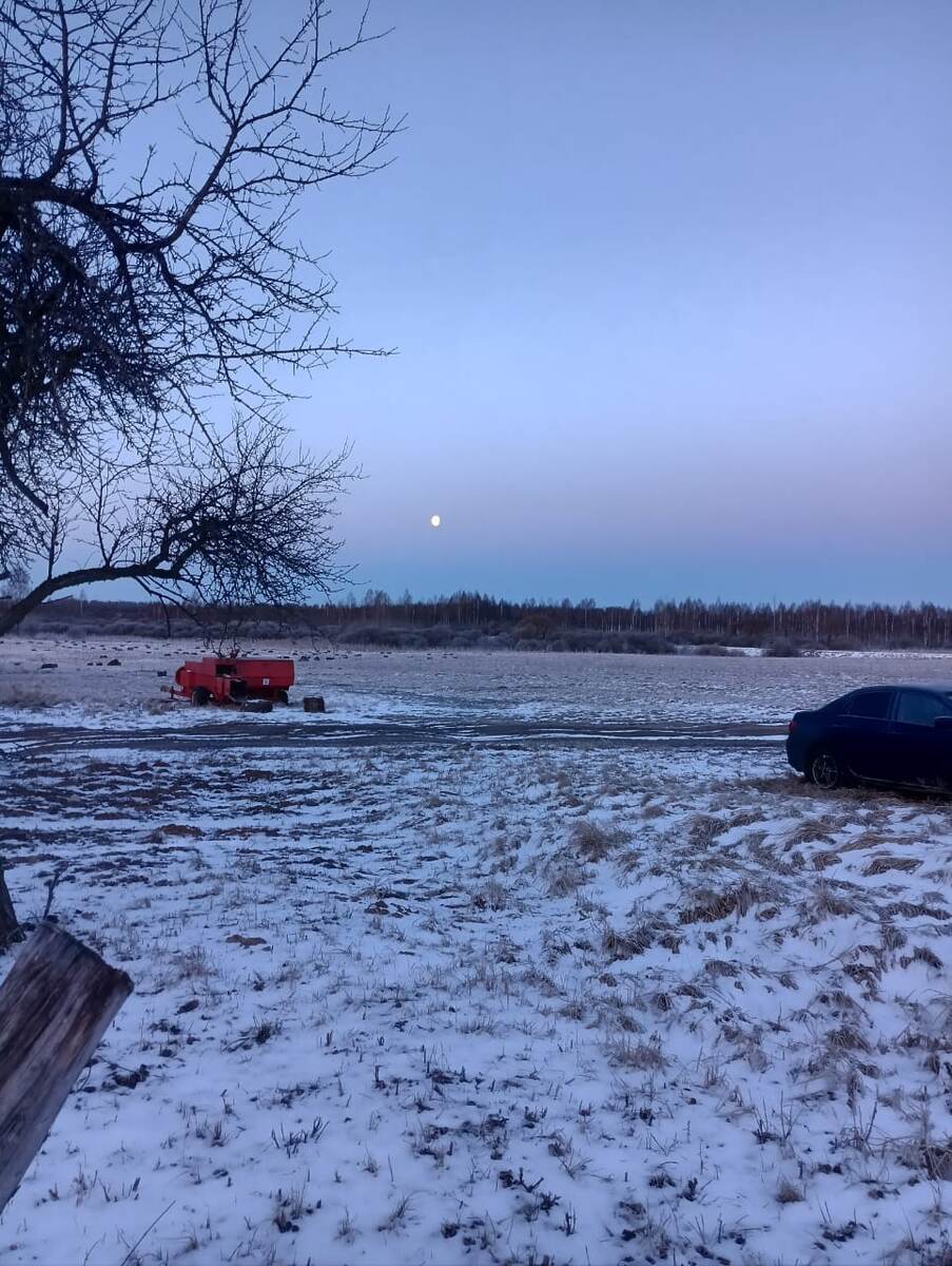 Вчерашнее утро. Сегодня снега уже нет 🤷‍♀️