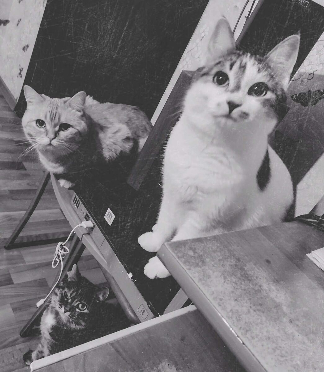 Моя банда: Фуфик, Дюша и Серунька.