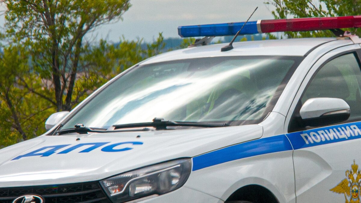    Фото: Svetlana Vozmilova/globallookpress.com