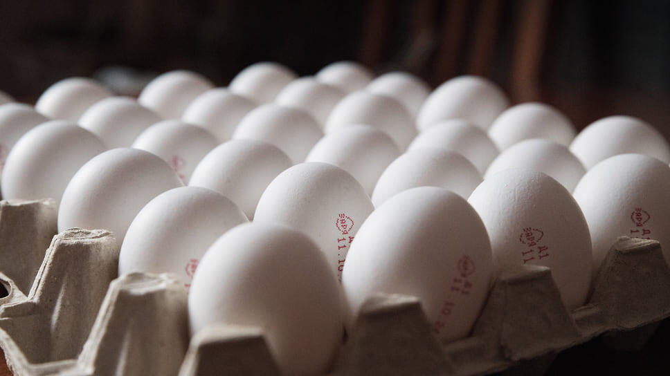 Фото: Александр Манзюк / Коммерсантъ