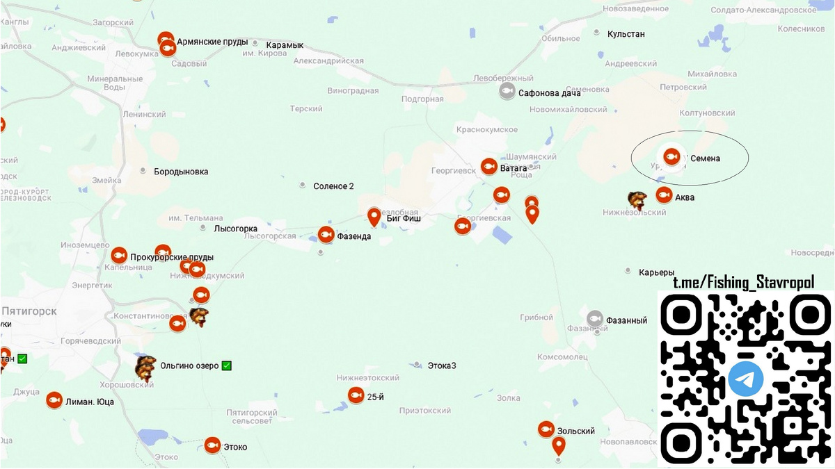Платная рыбалка, водоем "У Семена"