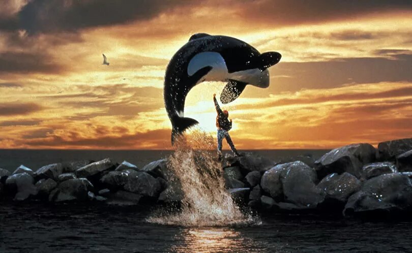 Освободите Вилли