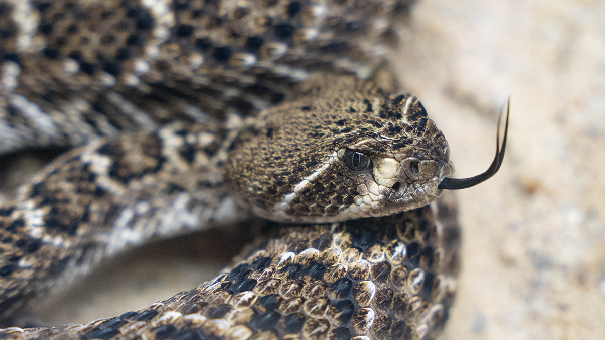    Фото: vm.ru Георгий