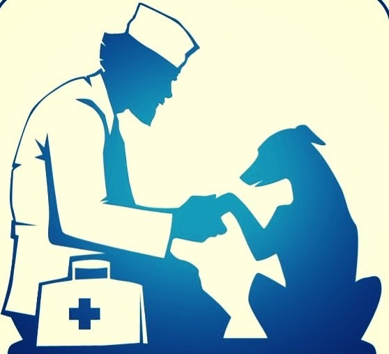 Из Яндекс картинок для иллюстрации 