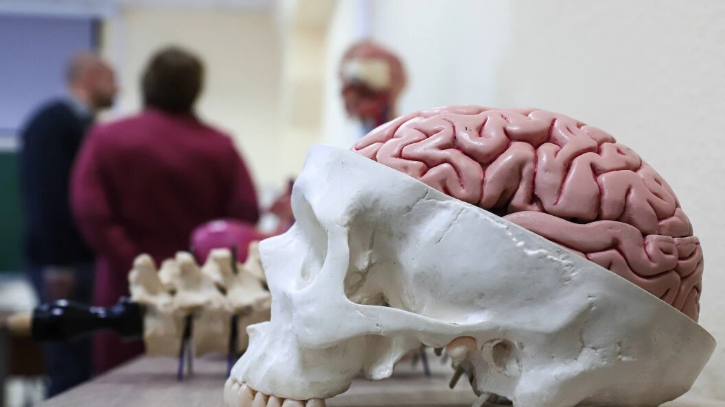    фото: Razmik Zackaryan/URA.RU