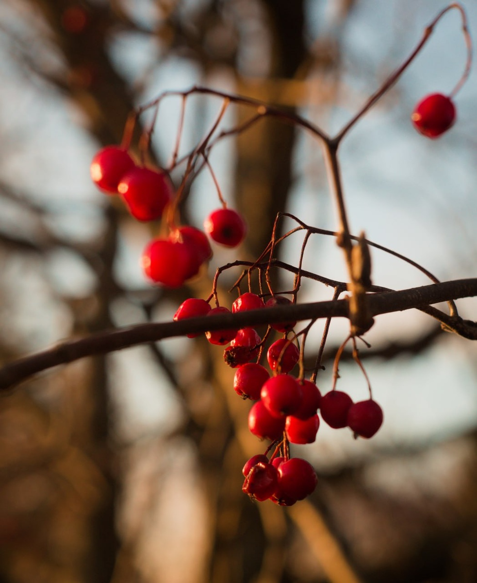 Все фото авторские. 