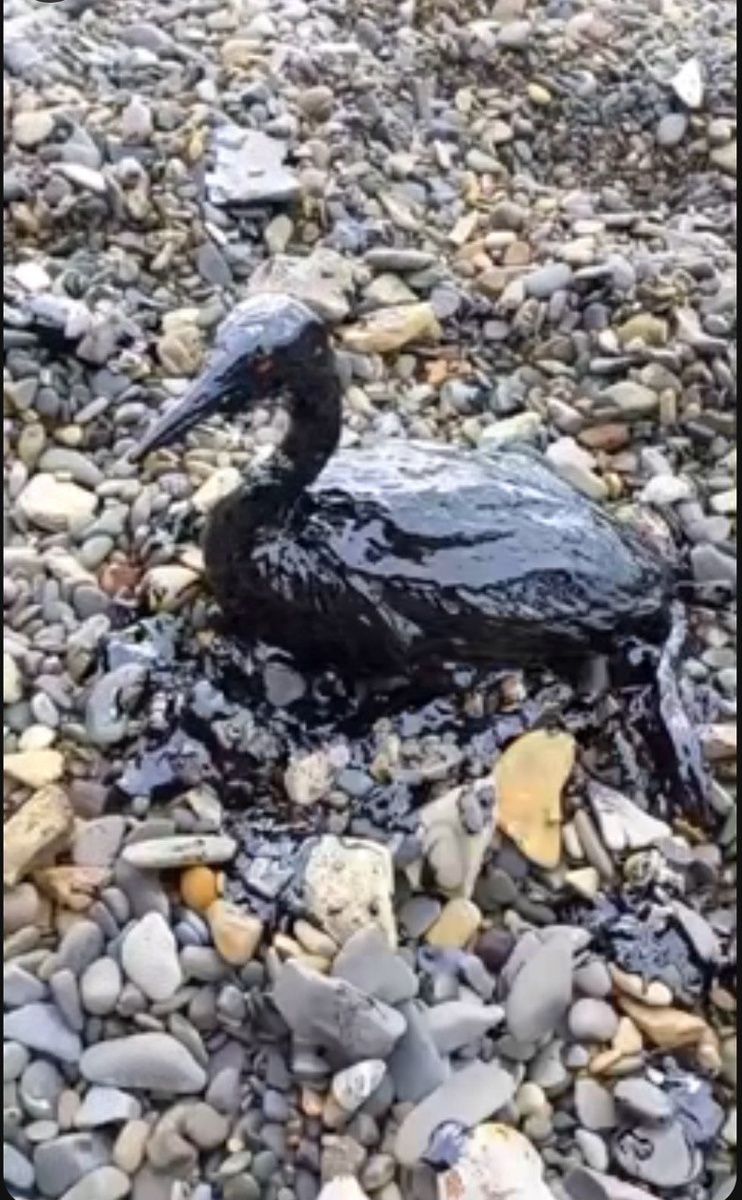 Спасибо,люди, за ваше невежество.