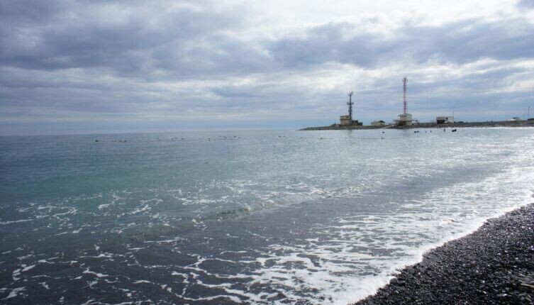     Фото: по лицензии CC0 Pxhere.com