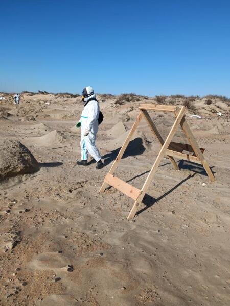    Наташа Алекс, личный архив