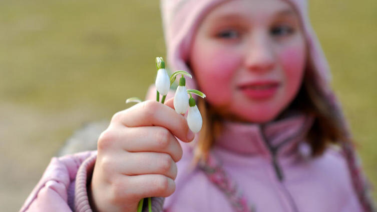     Фото: Elena Elisseeva Shutterstock.com