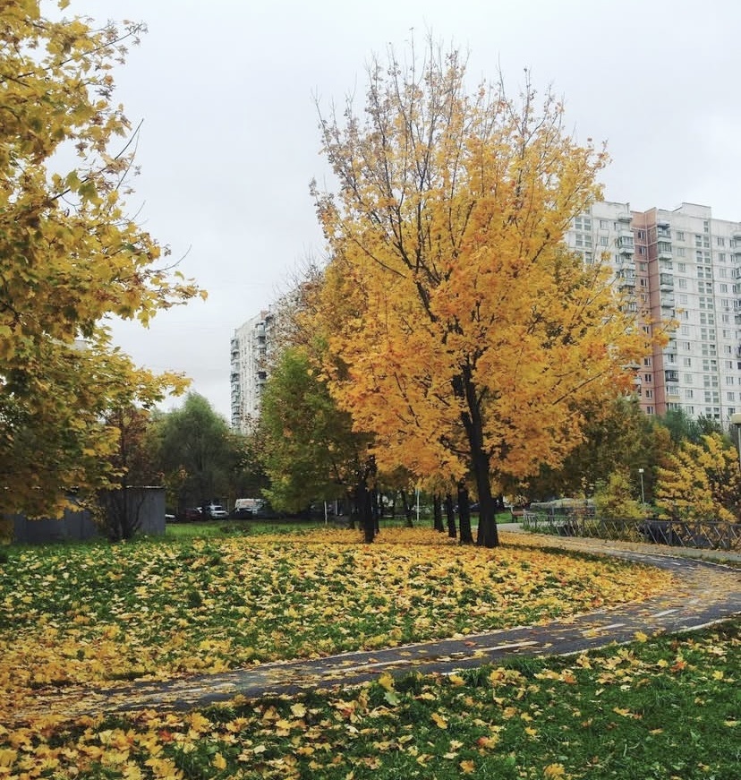 Из личного архива. 