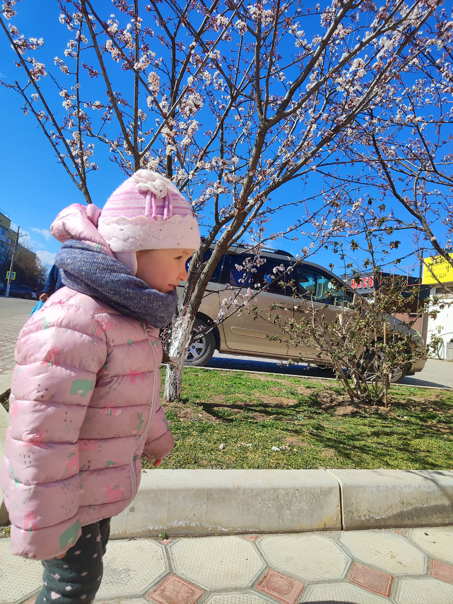 сейчас так) 