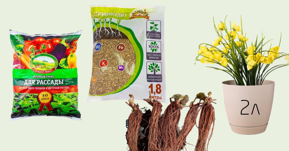 Сумма покупки на 5 горшков: 1243₽ 