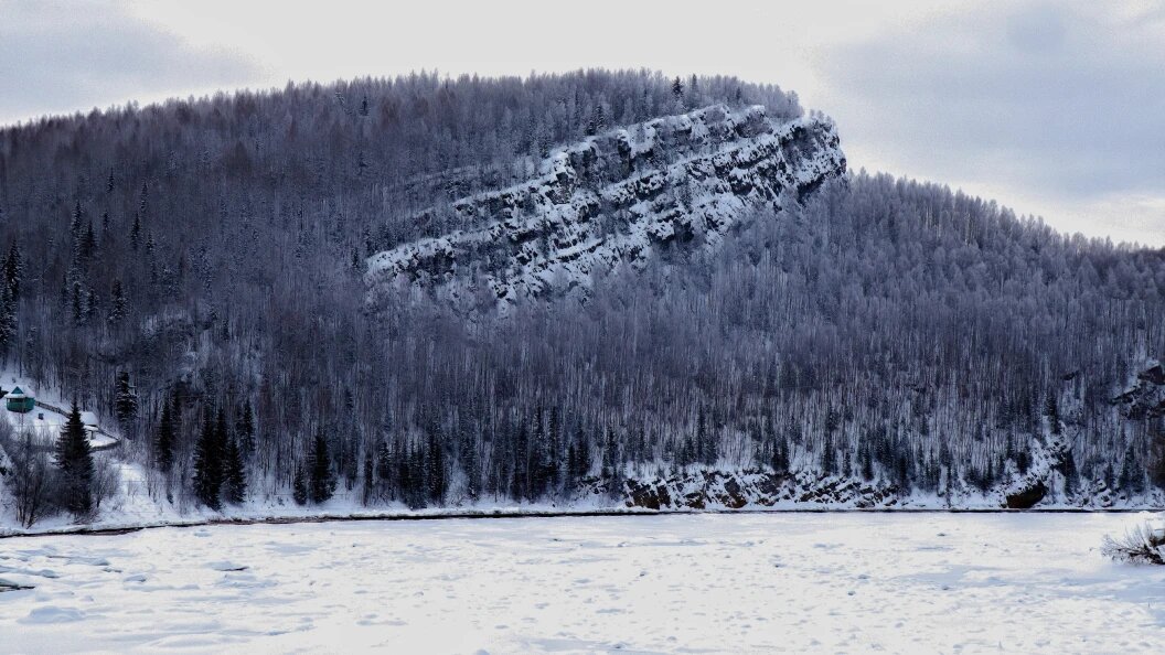    Фото: Elena Mayorova//Globallookpress