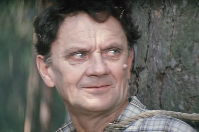    Николай Романов в фильме «Бриллиантовая рука» (1969). Кадр из фильма