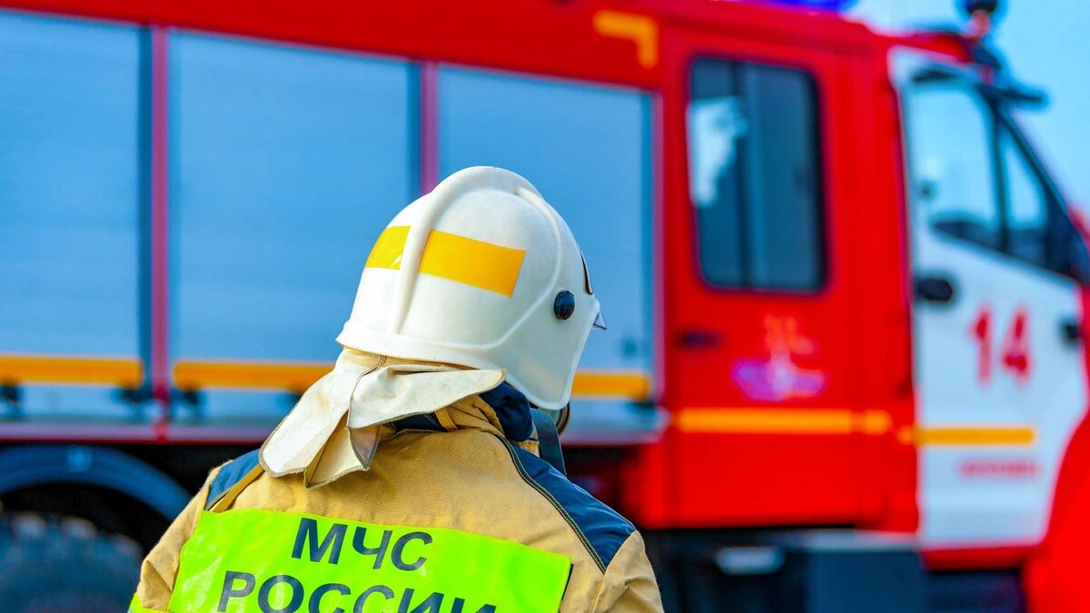    Фото: Evgenii Panov/Shutterstock/Fotodom