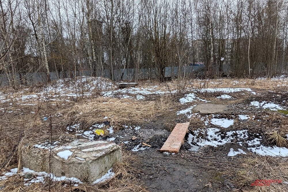    Фото:  АиФ/ Елена Краснова