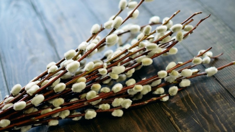 Фото: @EyeEm / freepik.com