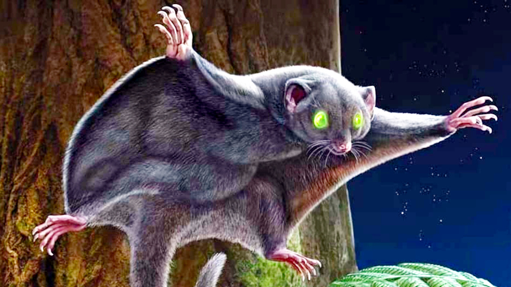 Уже мезозойские белки умели летать.