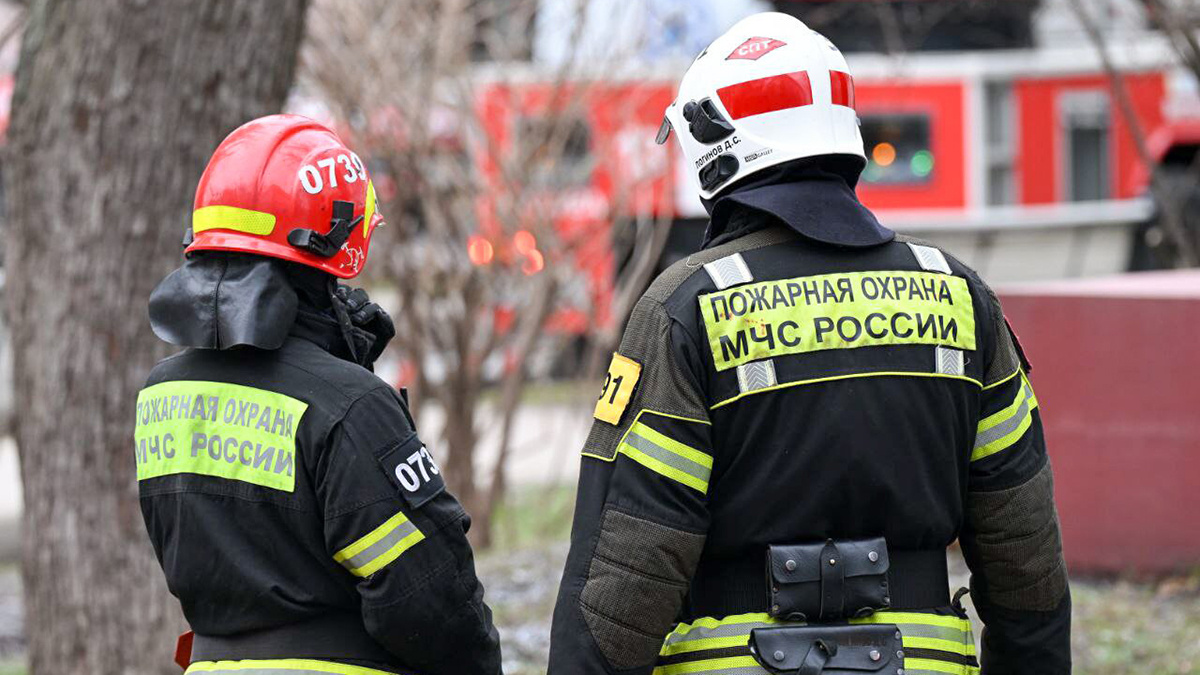    Фото: vm.ru Георгий