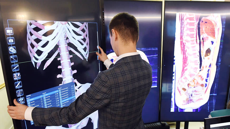 Фото: Дмитрий Духанин / Коммерсантъ