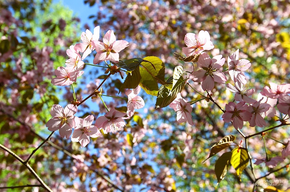    Фото:  АиФ/ Игорь Харитонов