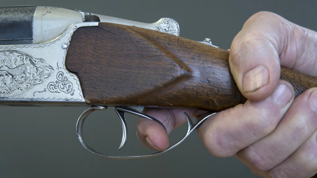    Nikolay Gyngazo/Globallookpress