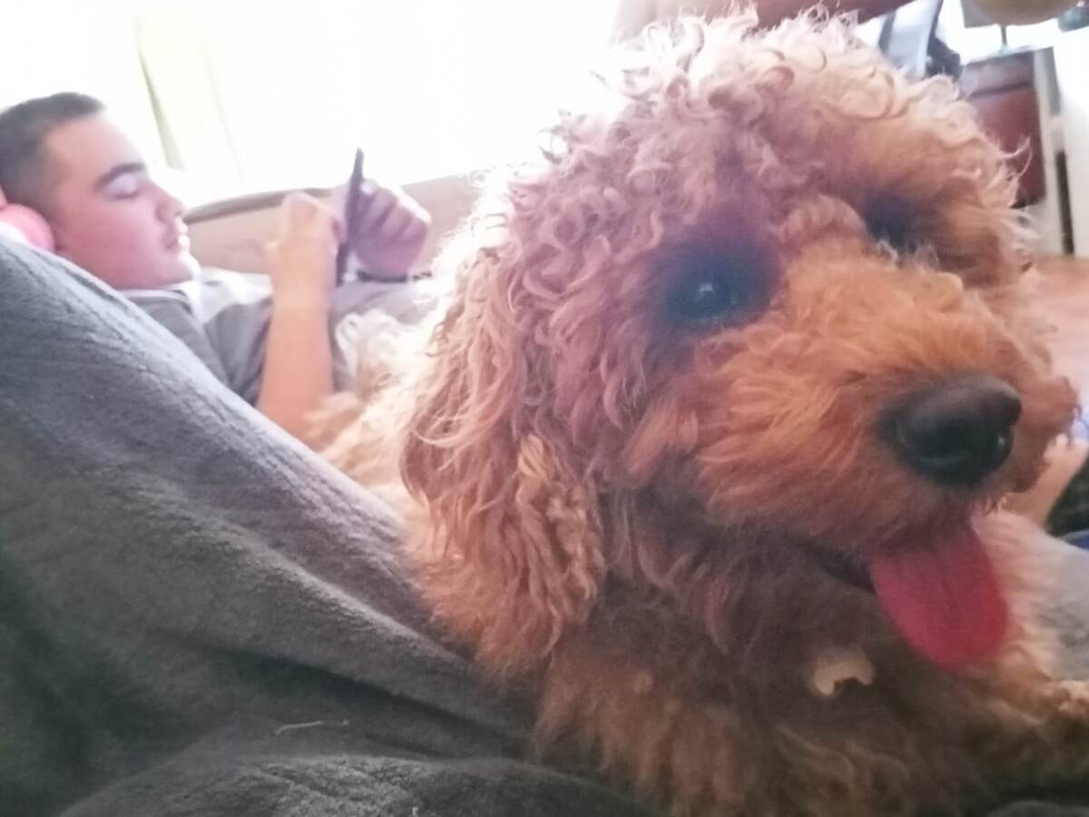 Румпель:  - А как же "движение - жизнь"?