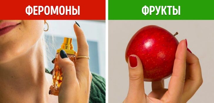 Ученые рассказали, почему у одних женщин много поклонников, а у других никого нет