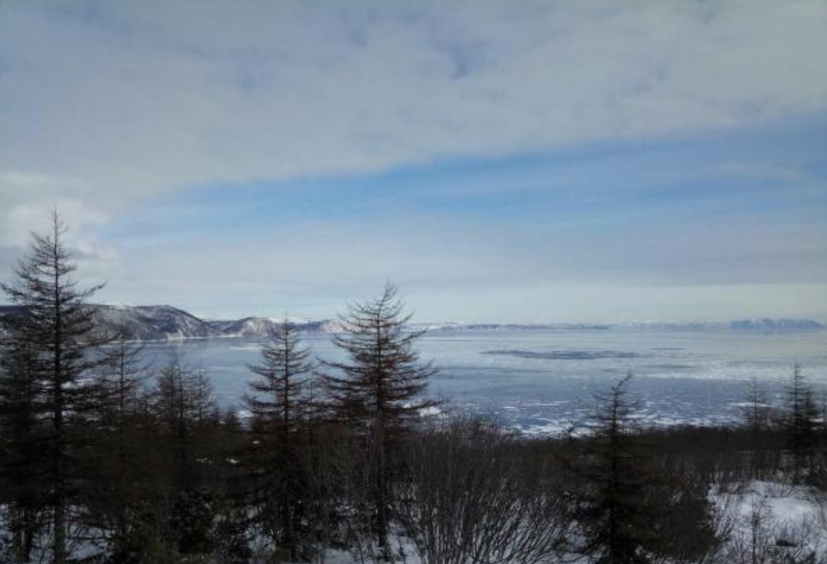 Фото: Из отзыва Марины