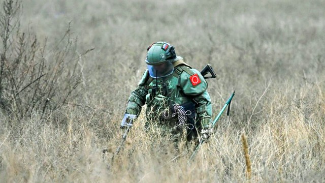 Густая высокая трава – естественное скрывающий фактор, и минные заграждения в таких местах крайне опасны, трудны к обнаружению и обезвреживанию (фото из открытых источников)