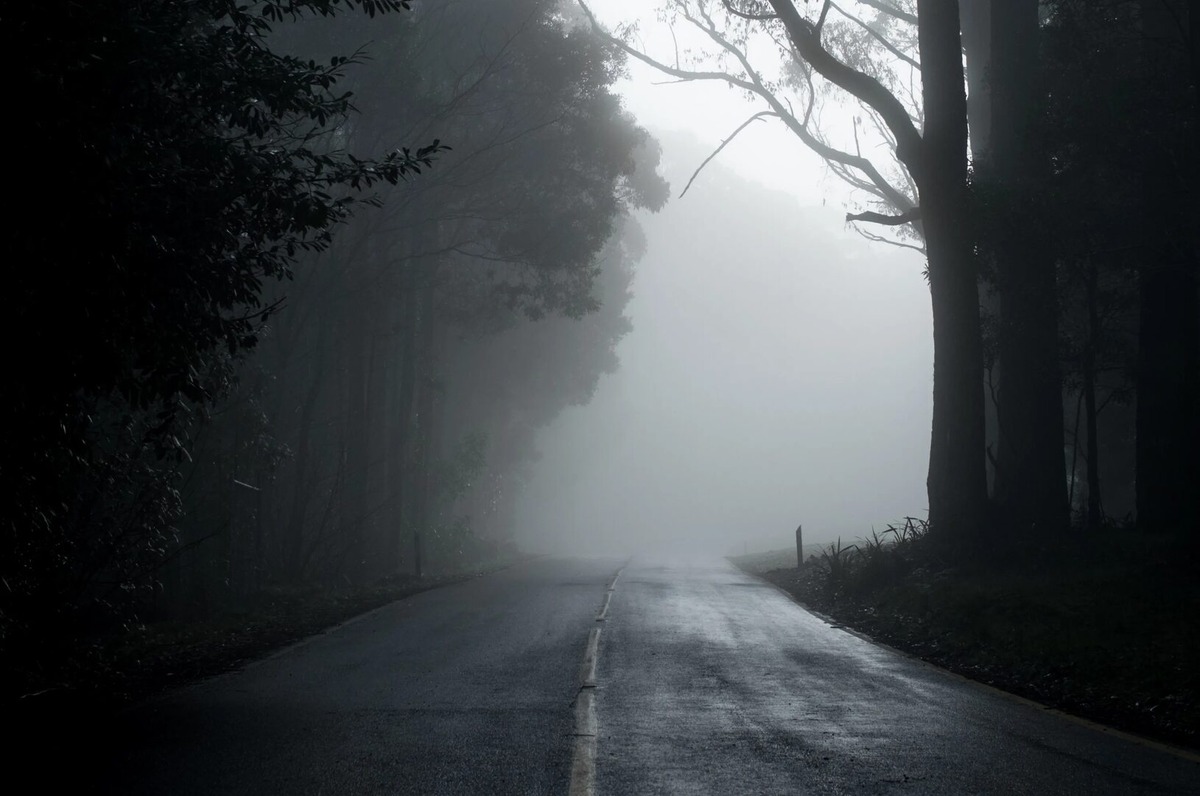 Изображение взято из открытых источников интернета. 