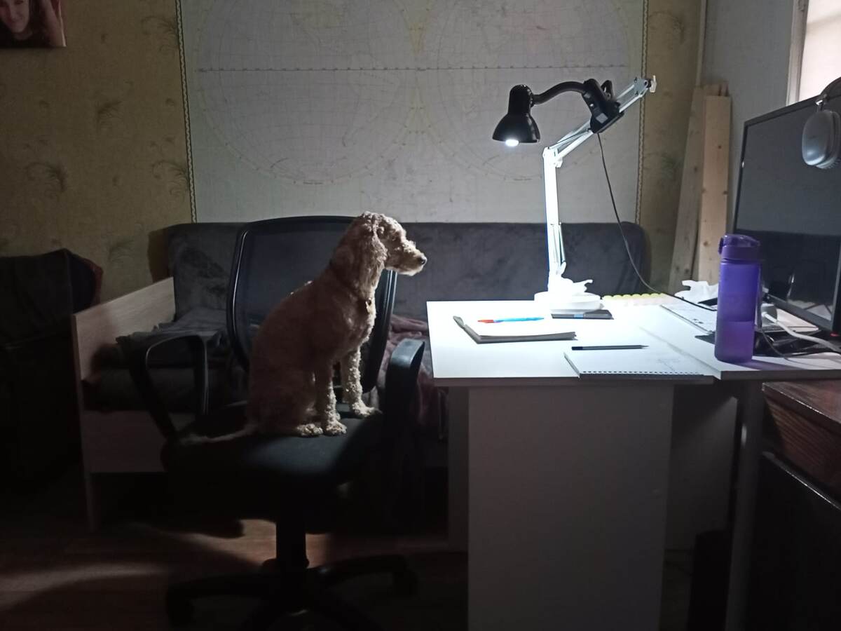 Румпель: - Гриша, не боись, я за тебя.