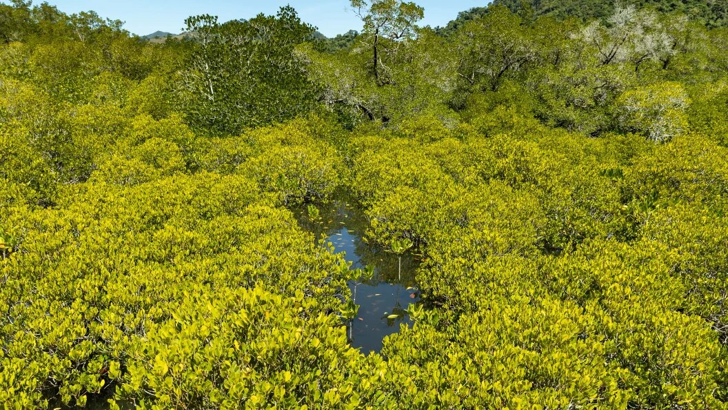    Фото: Aleksey Smyshlyaev/Globallookpress