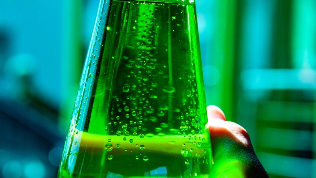    Фото: Svetlana Vozmilova/Globallookpress