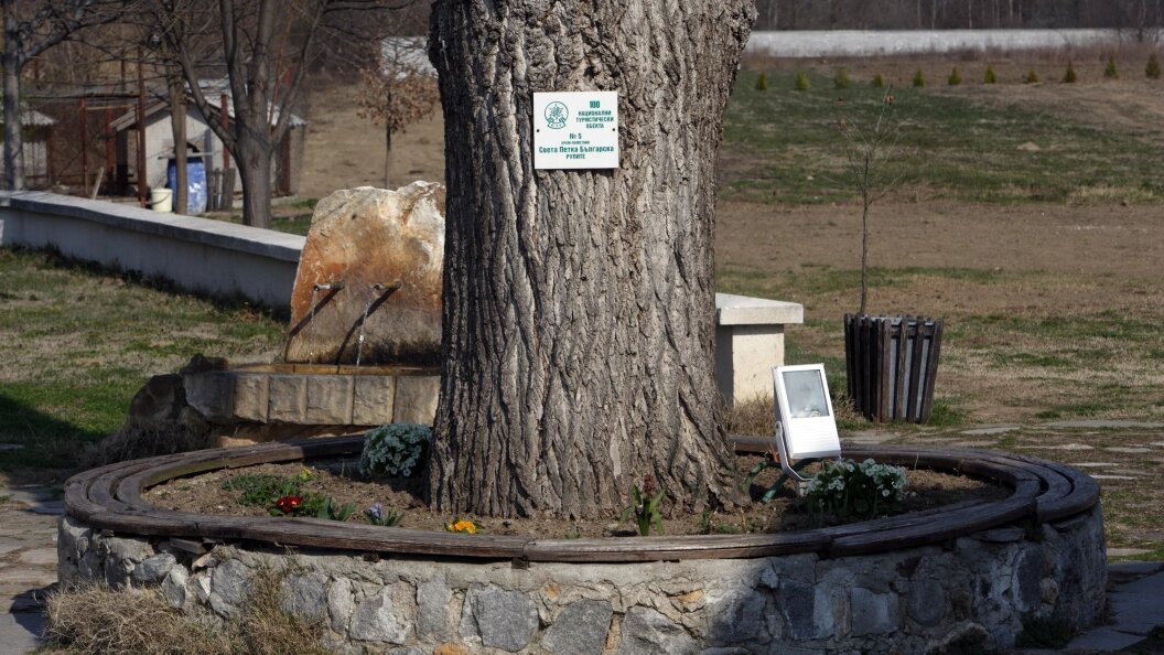    Фото: Serguei Fomine/Russian Look/Globallookpress