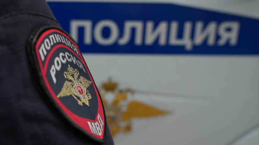    Фото: ИЗВЕСТИЯ/Дмитрий Коротаев; 5-tv.ru