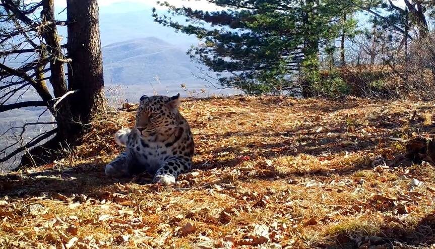    Источник фото: