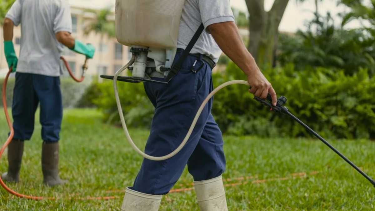 Obrabotka dachnogo uchastka ot komarov