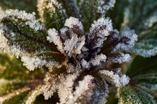    Фото: freepik.com /wirestock