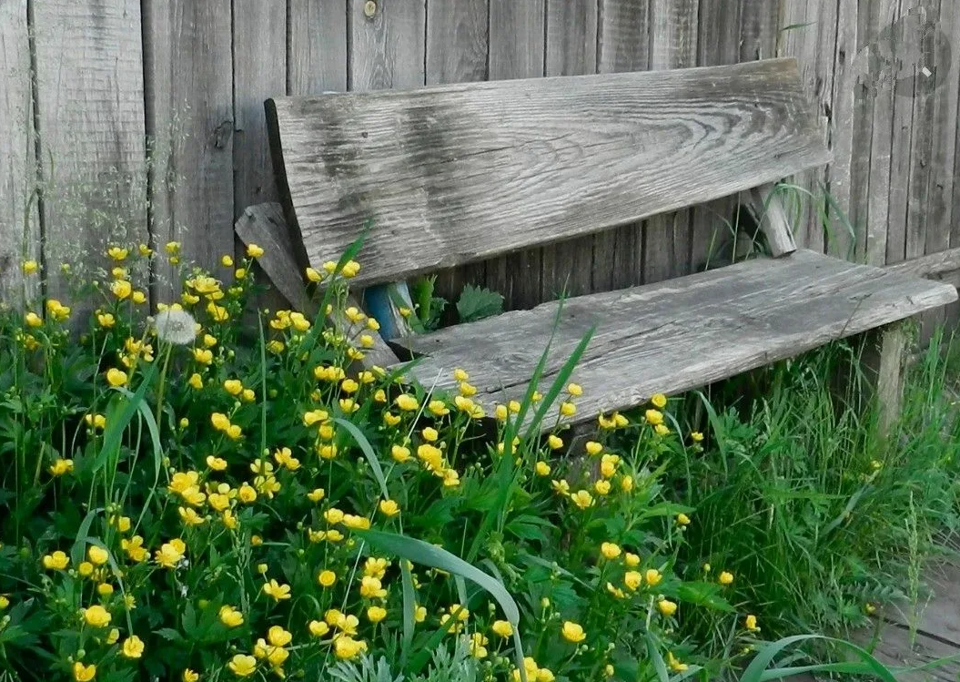 Яндекс картинки