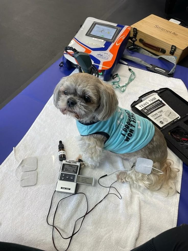 Вирусные заболевания!!!! При подозрении на прием! 