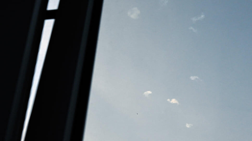 Фото: Анатолий Жданов / Коммерсантъ