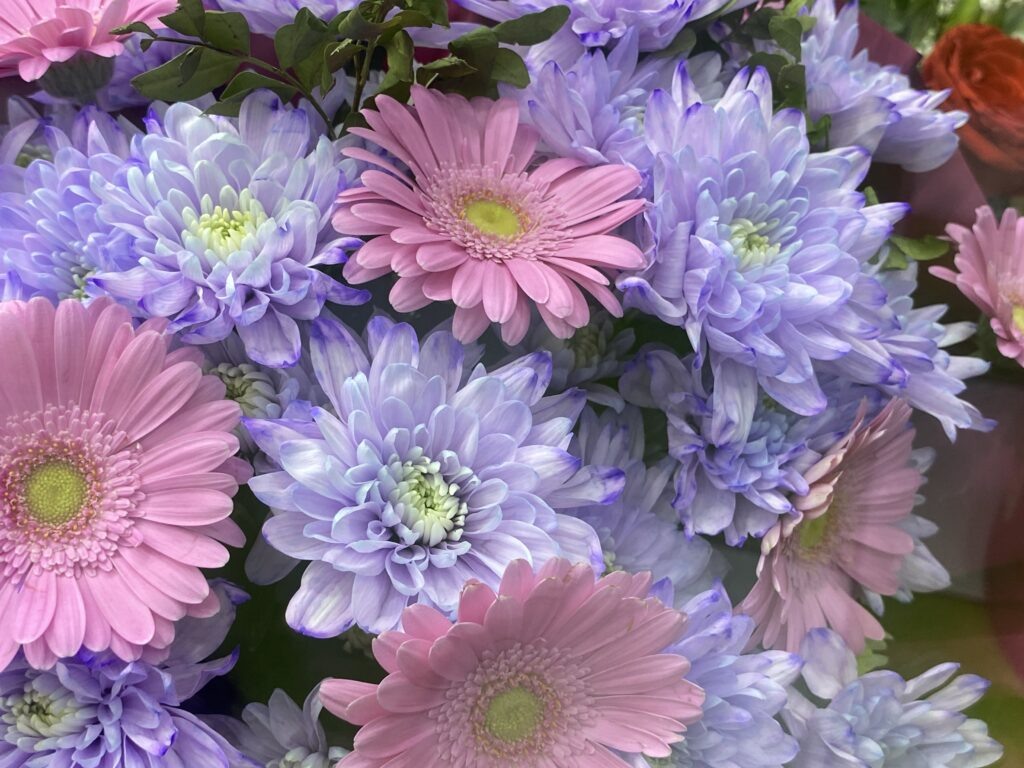    Фото: В курсе.ру Екатерина Устькачкинцева