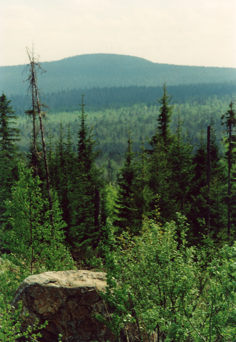 Вершина г. Б. Сутук. Фото В.А. Крыщенко, 2006 г.