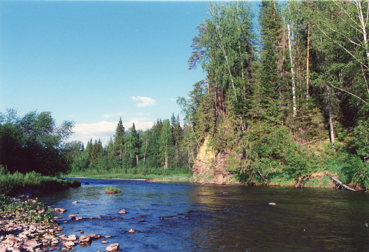 Река Сулем пробивается через отроги Уральского хребта. Фото В.А. Крыщенко, 2006 г.