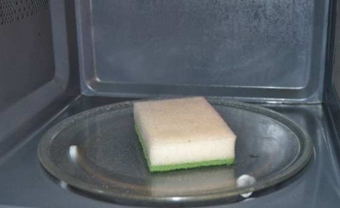 Микроволновка не сможет убить всех микробов. / Фото: karex.ru