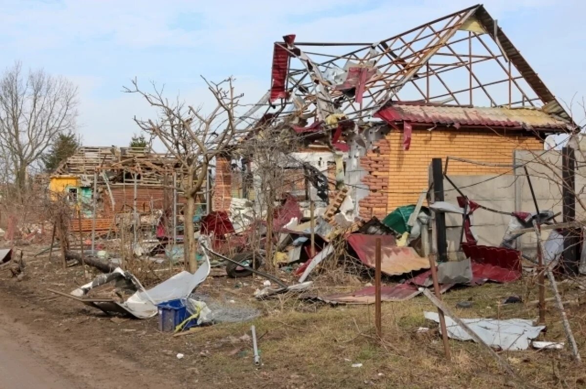    Эксперт Сян: вторжение под Курск является большой ошибкой США и Украины