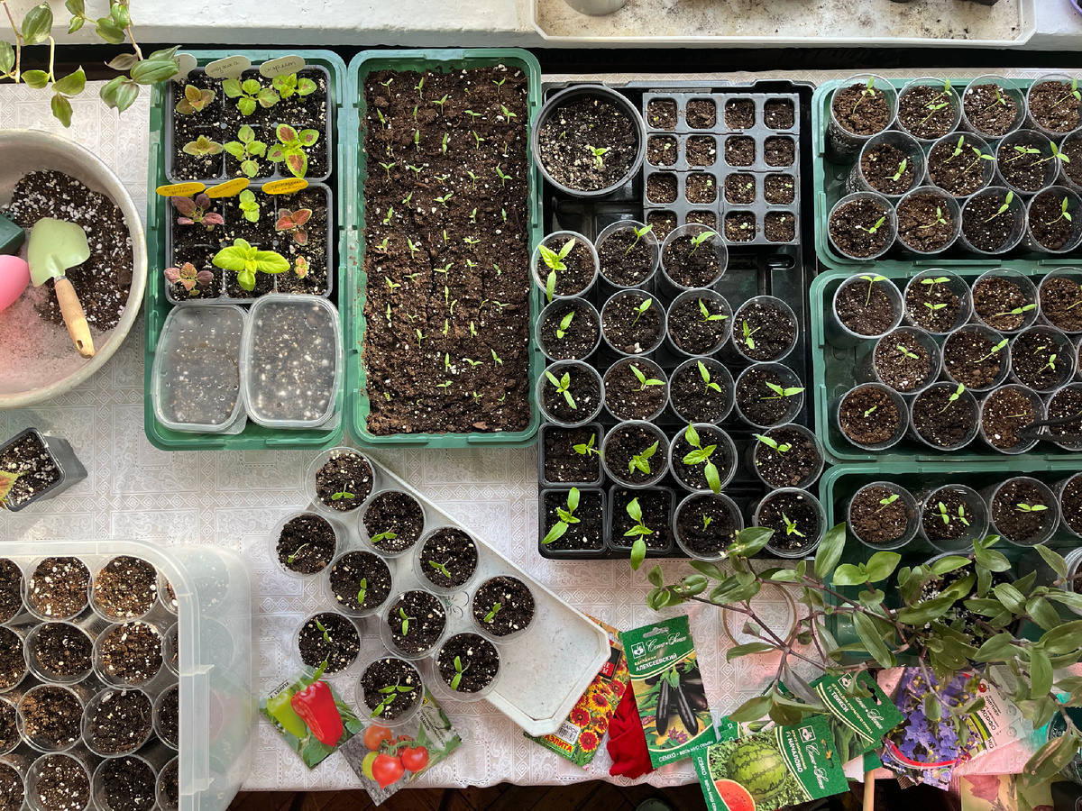 Рабочее место